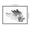 Amanti Art Tropical Velvet I - BW by Ryan Hartson Weddle Wood Framed Wall Art Print - 4 of 4