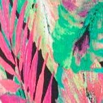 multi tropical