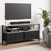 Jojoka Gray TV Stand and Dresser for Bedroom with 2 Drawers and Open Shelves - 4 of 4
