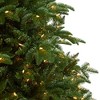 Nearly Natural 8-ft South Carolina Spruce Christmas Tree with 700 White Warm Lights and 3412 Bendable Branches - 4 of 4