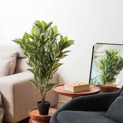 Tiny Green Faux Zebra Plant in Black Pot