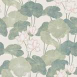 RoomMates Lily Pads Peel & Stick Wallpaper Cream/Green