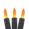 Novelty Lights 50 Light Incandescent Mini Christmas String Lights Black Wire 11 Feet - 3 of 4