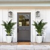 Tall Planters Set of 2, Large Flower Pot Outdoor and Indoor with 2 Trays and a Water Level Monitor and Wheels - 4 of 4