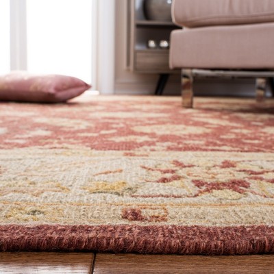 Sumak Red and Beige Wool 6' x 9' Handmade Area Rug