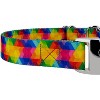 Country Brook Petz Martingale Dog Collar with Premium Buckle - Groovy Collection - 4 of 4