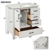Tramull Bathroom Vanity with Sink, Soft Close Door & Drawers, Removable Tray, Solid Wood Frame - 2 of 4