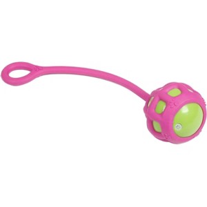Pet Life Tug-O-Warp Fetching Tugging and Chew Squeaking TPR Dog Toy - 1 of 1