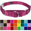 Country Brook Petz Heavyduty Nylon Martingale with Premium Buckle - 3 of 4