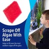 Evergreen Pet Supplies 4 Pack Aquarium Cleaner for Glass Walls - Aquarium Scrubber - H& Held Scraper Pad - Fish Tank Cleaning Sponge - 2 of 4