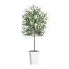 NicBex Artificial Olive Plant Indoor, Fake Tree with White Tall Planter & Moss, Artificial Trees for Home Office Living Room Decor, Green - 4 of 4