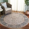 Finley FIN316 Power Loomed Indoor Rugs - Safavieh - 2 of 4