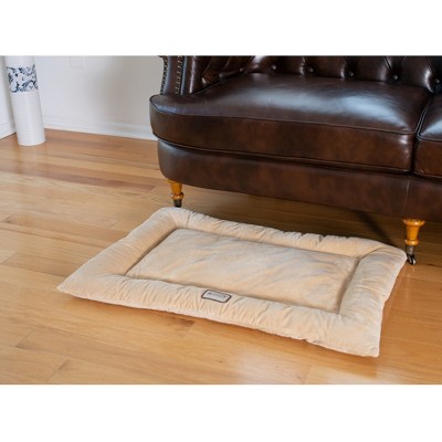 Medium Beige Velvet Pet Bed with Poly Fill Cushion