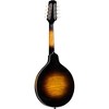 Kentucky KM-900 Master A-Style Mandolin Vintage Sunburst - 4 of 4