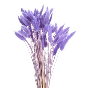 Unique Bargains Natural Dried Floral Bunny Tail Artificial Plants 60 Pcs - 1 of 4