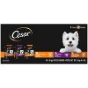 Cesar Chicken, Steak and Beef Flavor Variety Pack Wet Dog Food - 70.4oz/40ct - 3 of 4