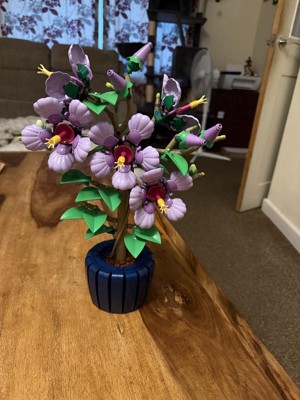 Guest review image 1 of 2, zoom in