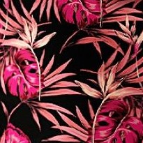 black coral tropical