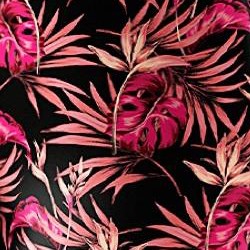black coral tropical