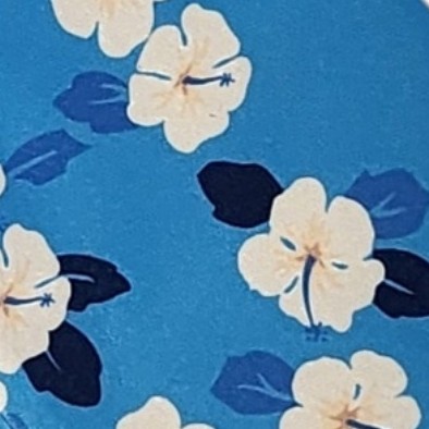 sky blue, blue and white