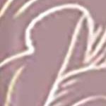 Dusty Rose Chrome Floral