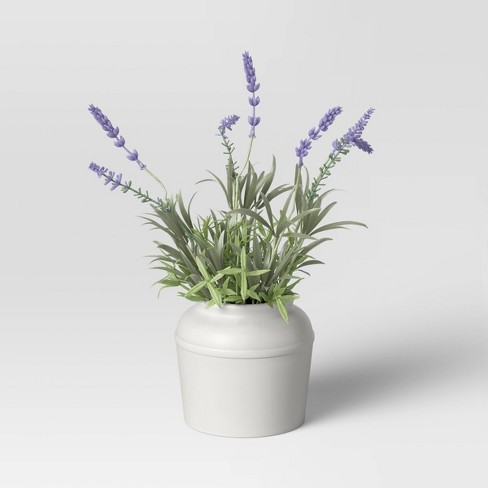 Potted Lavender - Threshold™ : Target