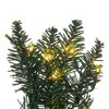 Vickerman Artificial Camdon Fir Collection - 2 of 4