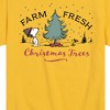 Boys' - Peanuts - Farm Fresh Trees Short Sleeve Graphic T-Shirt - 2 of 4