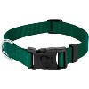 Country Brook Petz Everyday Nylon Dog Collar - 4 of 4