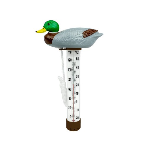 Poolmaster Mallard Duck Floating Swimming Pool And Spa Thermometer : Target