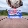 Waggin Water Portable Water Bowl with Chicken for Dogs and Cats - image 4 of 4