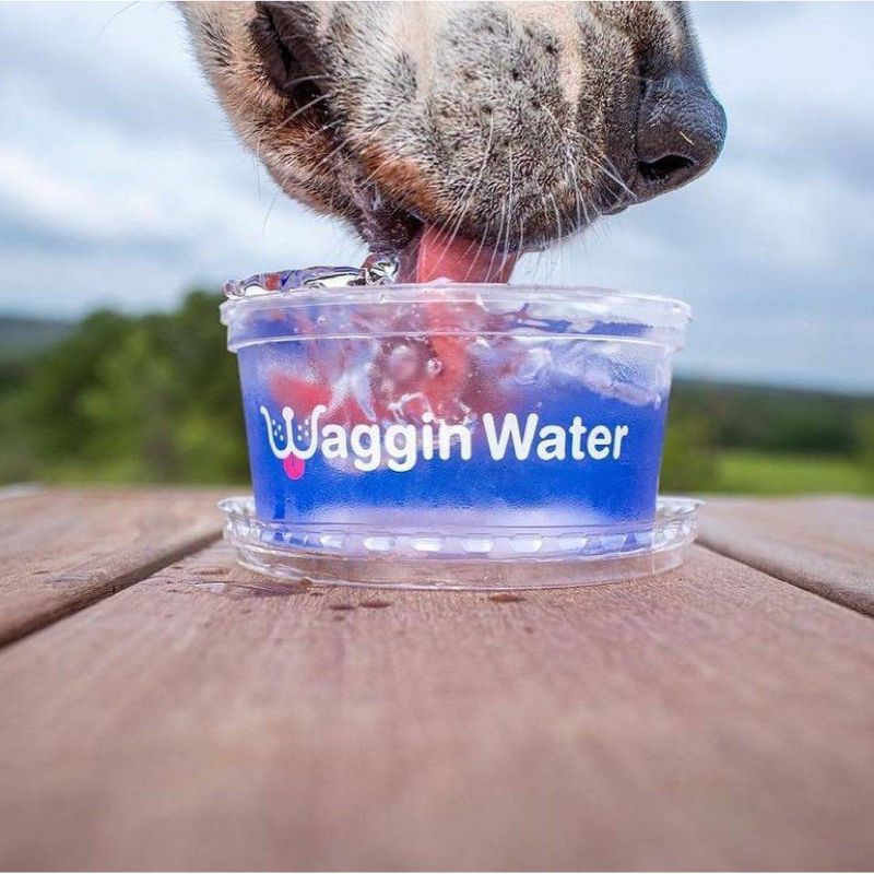 Waggin Water Portable Water Bowl with Chicken for Dogs and Cats, 4 of 11