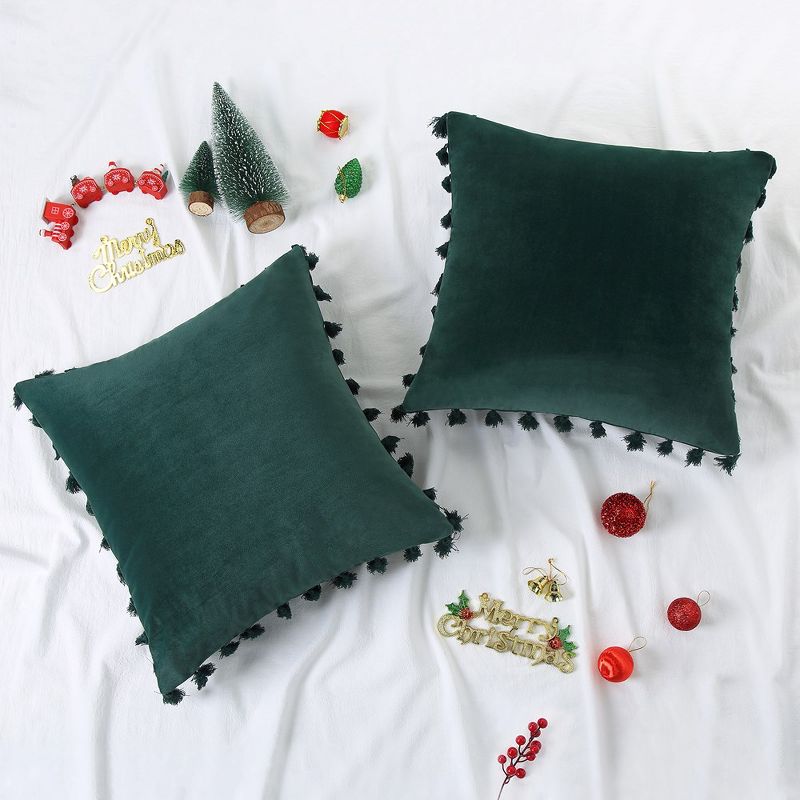 2 Pieces Tassels Velvet Throw Pillow Covers, 5 of 6