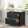ORRD 2-Drawer Lateral File Cabinet with Printer Stand, Rustic Brown Wood & Black Steel Industrial Storage for A4/Letter Files, Home Office - 3 of 4