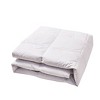 Beautyrest Microfiber Feather and Down Blend All Season Comforter - 2 of 4