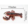 Collectible Wildlife Gifts | Lobster, Boston, American, Museum Quality, Rubber Crustacean, Hand Painted, Realistic Toy Model, Gift,   9"   CH347 BB135 - 3 of 4