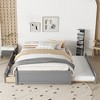 Full Size Platform Bed with Twin Size Trundle and Two Drawers - 2 of 4