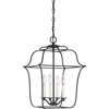 Quoizel Lighting Gallery 4 - Light Chandelier in  Royal Ebony - 2 of 4