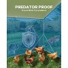 Acekool Large Walk-In Chicken Coop Outdoor Poultry Run with Waterproof UV Cover, Metal Enclosure for 10-20 Chickens, 13.12'x9.84'x6.56' - 3 of 4