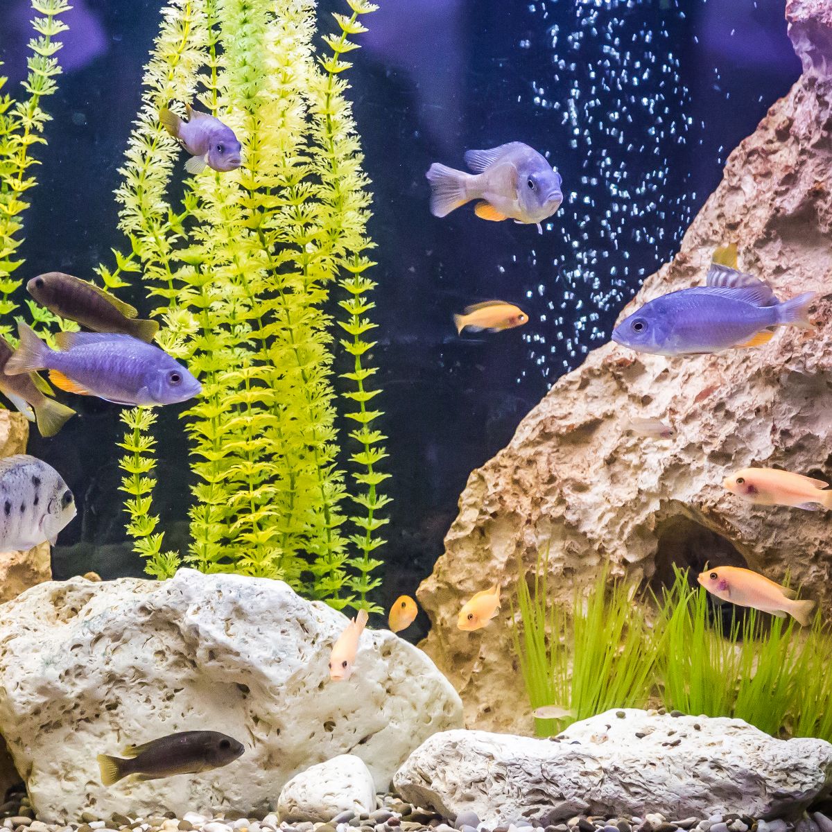 Unique Bargains Ceramic Aquarium Hideaway Rock Cave Fish Tank Decoration Brown 5.16"x3.05"x2.19" - thumbnail 2