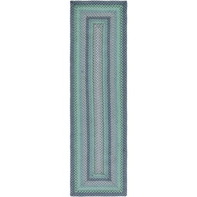 Braided BRD651 Flat Weave Rug - Safavieh