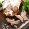Floral Etched Insect Shelf Sitter (Set of 4) - 2 of 4