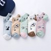 Alilang Adorable Cat - Print No Show Socks Soft for Casual 5Pk - 4 of 4