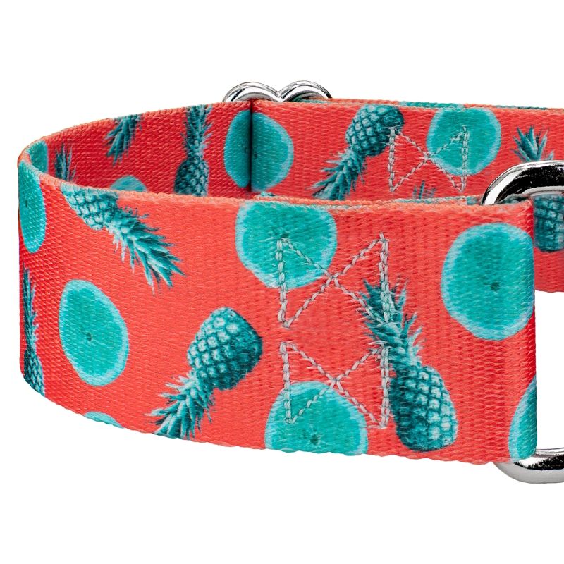 Country Brook Petz 1 1/2 Inch Tropical Tango Martingale Dog Collar, 5 of 6