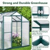 6x8 FT Greenhouse for Outdoors, Large Walk-in Greenhouse with Roof Vent, Heavy Duty Polycarbonate Greenhouse for Garden Patio Backyard - 4 of 4