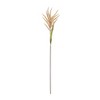Melrose Astilbe Stem (Set of 12) - 2 of 3