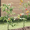 vidaXL 5 pcs Spiral Plant Supports 43.3" Galvanized Steel - 4 of 4