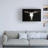 Trademark Fine Art -Phburchett  'Cow Skull' Canvas Art - 2 of 4