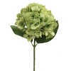 Floral Home 18.5" Green Hydrangea - 12-Pieces - 2 of 2