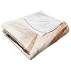 Warner Bros. Game Of Thrones Daenerys Season 2 Silk Touch Throw Blanket 50x60 Inches - 2 of 4